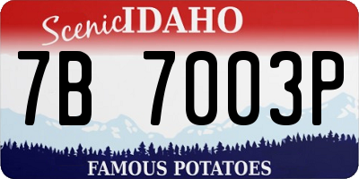 ID license plate 7B7003P
