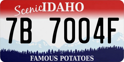 ID license plate 7B7004F