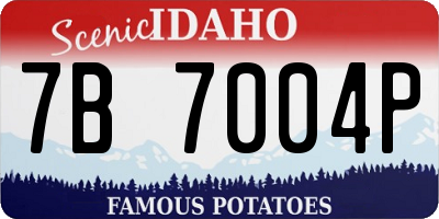 ID license plate 7B7004P