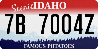 ID license plate 7B7004Z