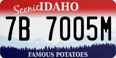 ID license plate 7B7005M