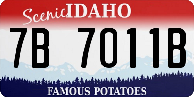 ID license plate 7B7011B