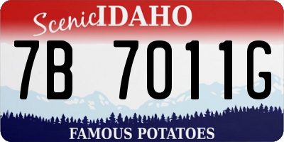 ID license plate 7B7011G
