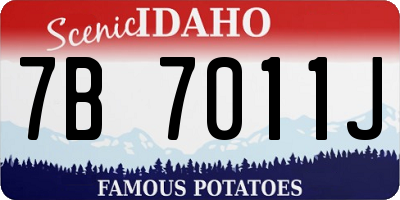 ID license plate 7B7011J