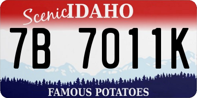 ID license plate 7B7011K