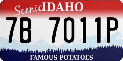 ID license plate 7B7011P
