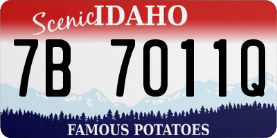 ID license plate 7B7011Q