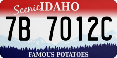 ID license plate 7B7012C