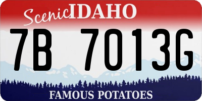 ID license plate 7B7013G
