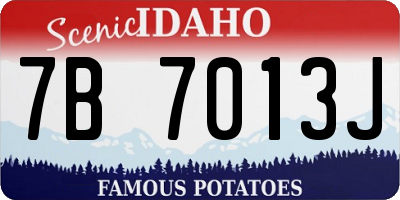 ID license plate 7B7013J