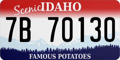 ID license plate 7B7013O
