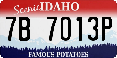ID license plate 7B7013P