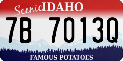 ID license plate 7B7013Q