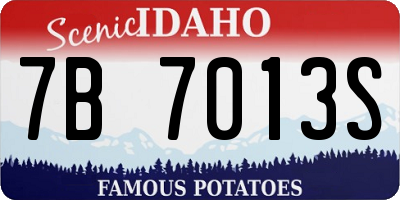 ID license plate 7B7013S