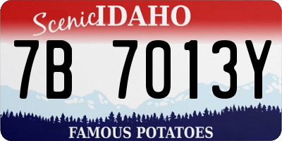 ID license plate 7B7013Y