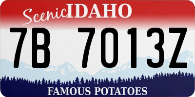 ID license plate 7B7013Z