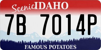 ID license plate 7B7014P