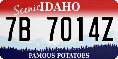 ID license plate 7B7014Z