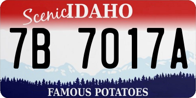 ID license plate 7B7017A