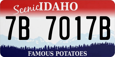 ID license plate 7B7017B