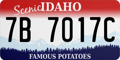 ID license plate 7B7017C
