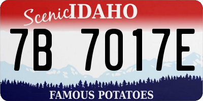 ID license plate 7B7017E