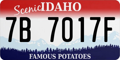 ID license plate 7B7017F