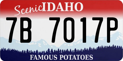 ID license plate 7B7017P