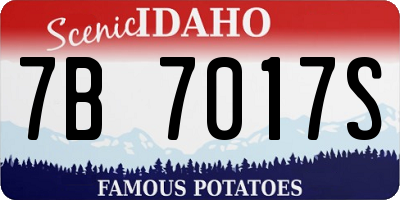 ID license plate 7B7017S