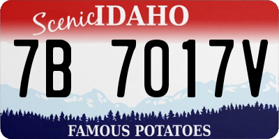 ID license plate 7B7017V