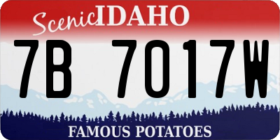 ID license plate 7B7017W