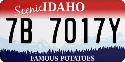 ID license plate 7B7017Y