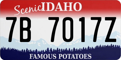 ID license plate 7B7017Z