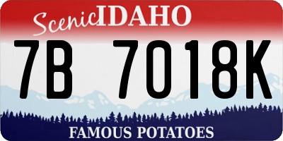ID license plate 7B7018K