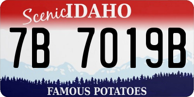 ID license plate 7B7019B