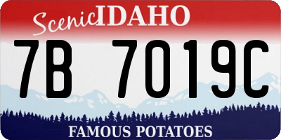 ID license plate 7B7019C