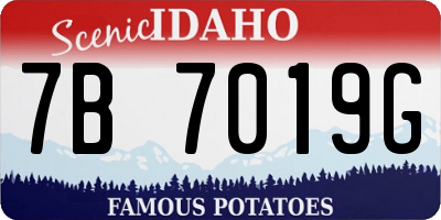 ID license plate 7B7019G