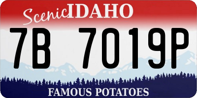 ID license plate 7B7019P