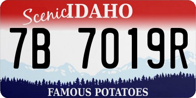 ID license plate 7B7019R
