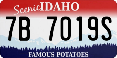 ID license plate 7B7019S