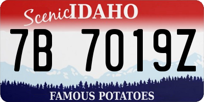 ID license plate 7B7019Z
