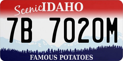 ID license plate 7B7020M