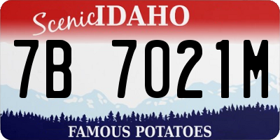 ID license plate 7B7021M