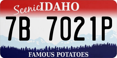 ID license plate 7B7021P