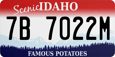 ID license plate 7B7022M