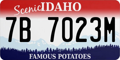 ID license plate 7B7023M