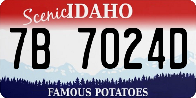 ID license plate 7B7024D