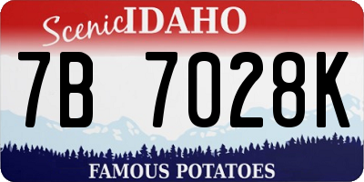ID license plate 7B7028K