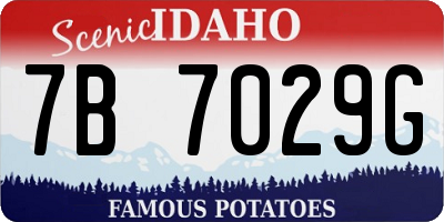 ID license plate 7B7029G