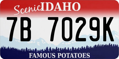 ID license plate 7B7029K